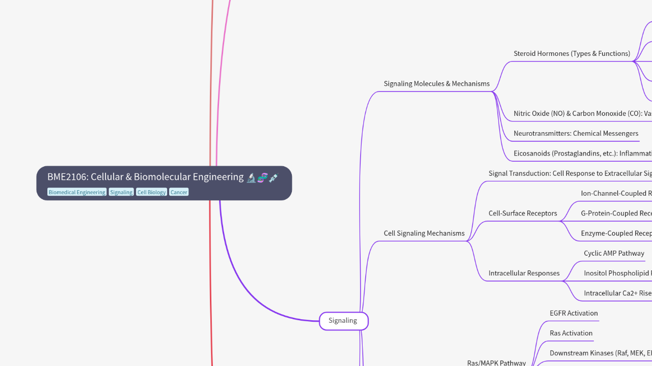 Mind Map:BME2106: Cellular & Biomolecular Engineering ...