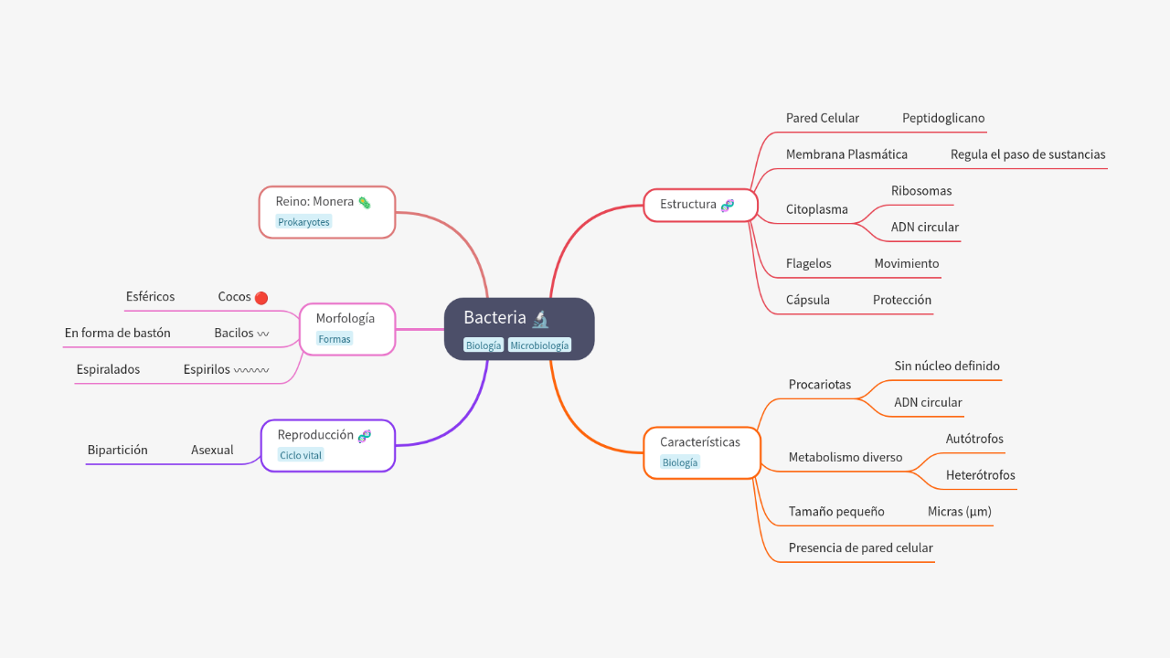 Mind Map:Bacteria ...