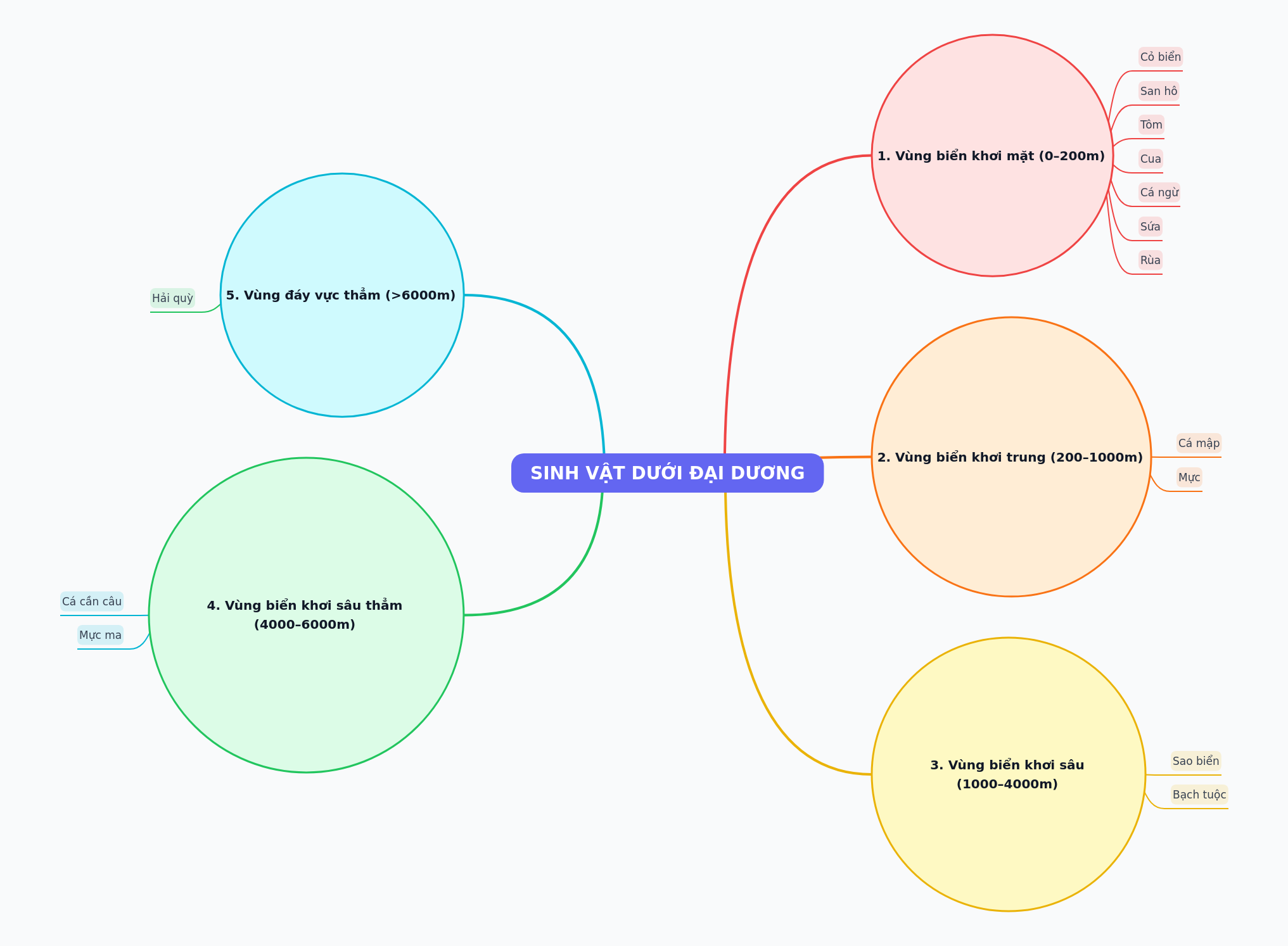 Ocean Creatures by Depth Zones