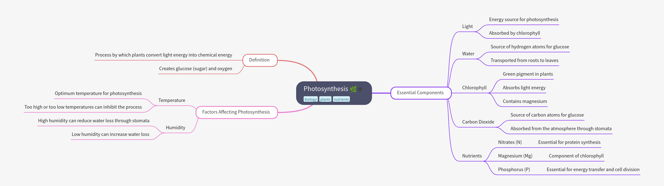 Comprehensive Guide to Photosynthesis