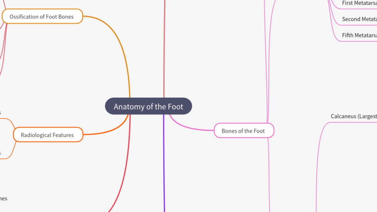Mind Map:Anatomy of the Foot ...