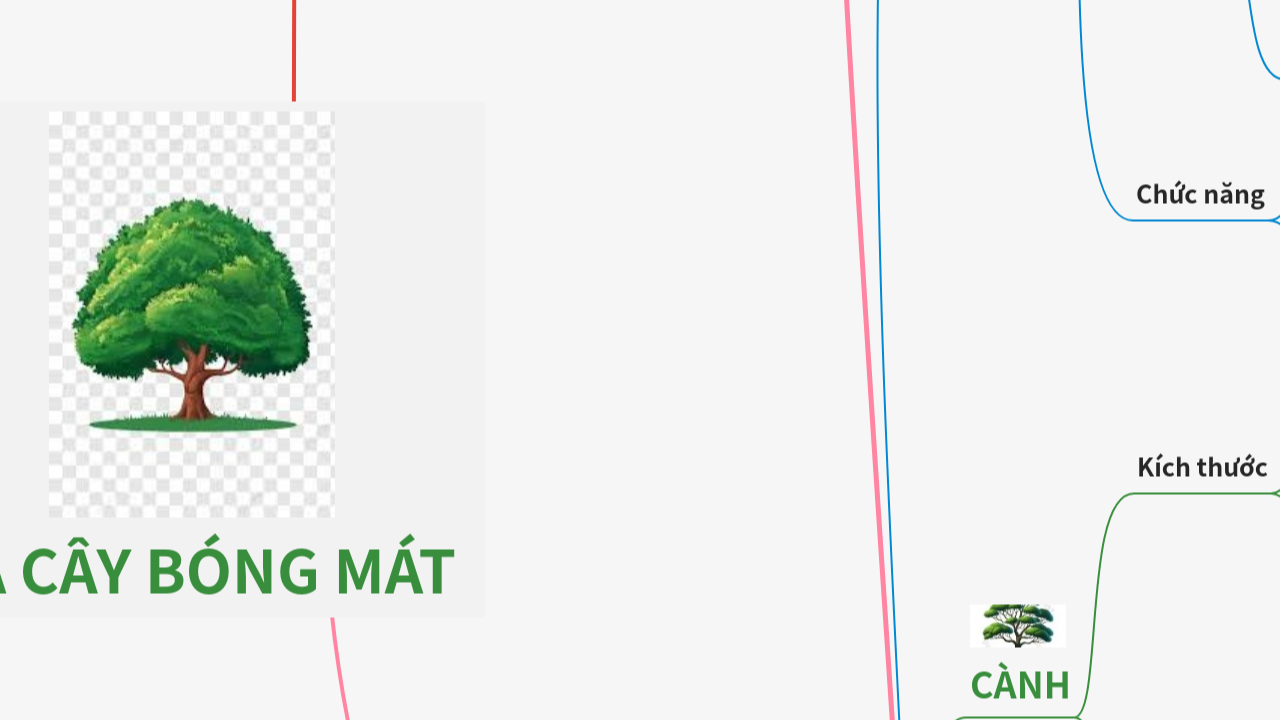 Mind Map:TẢ CÂY BÓNG MÁT ...