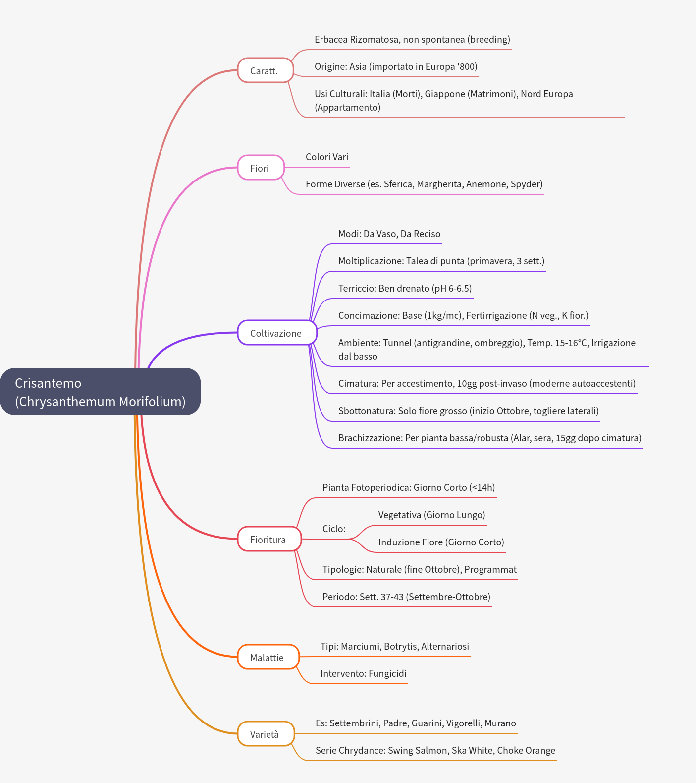 Chrysanthemum Cultivation and Characteristics Guide