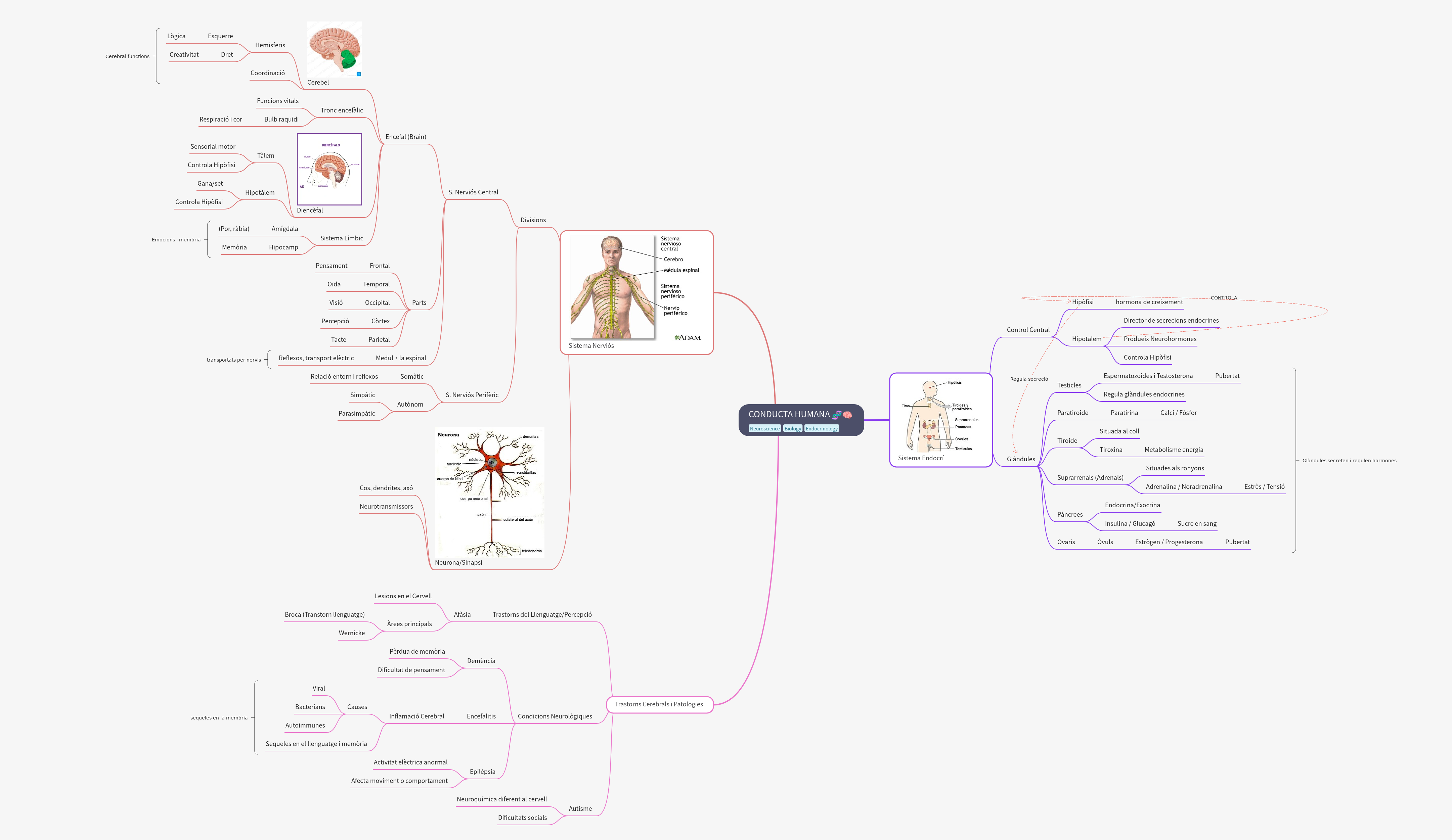 Biological Foundations of Human Behavior and Cognition