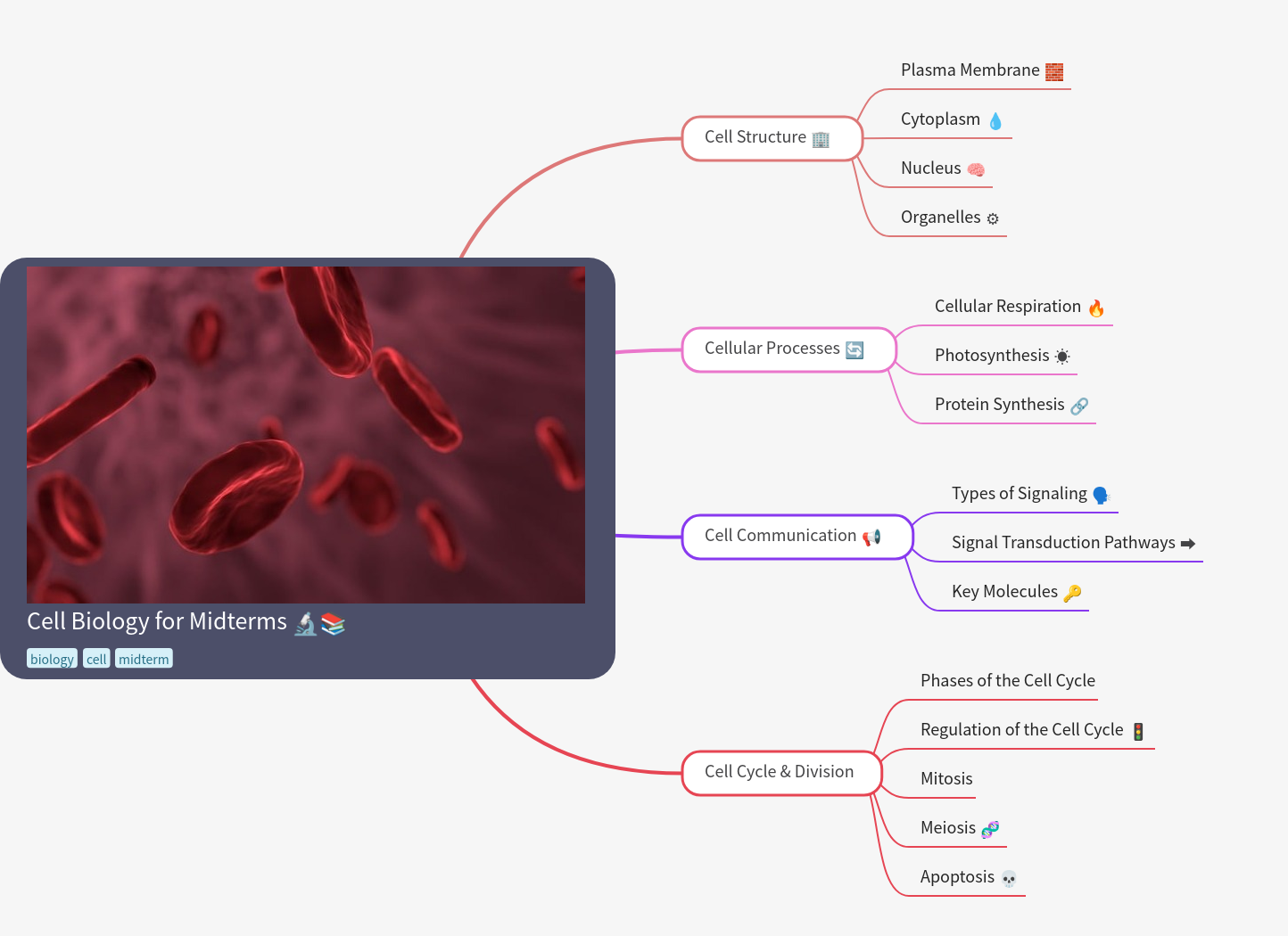 Cell Biology for Midterms: Essential Concepts