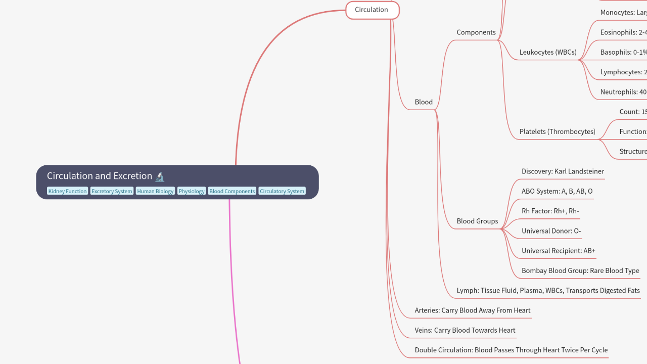 Mind Map:Circulation and Excretion ...