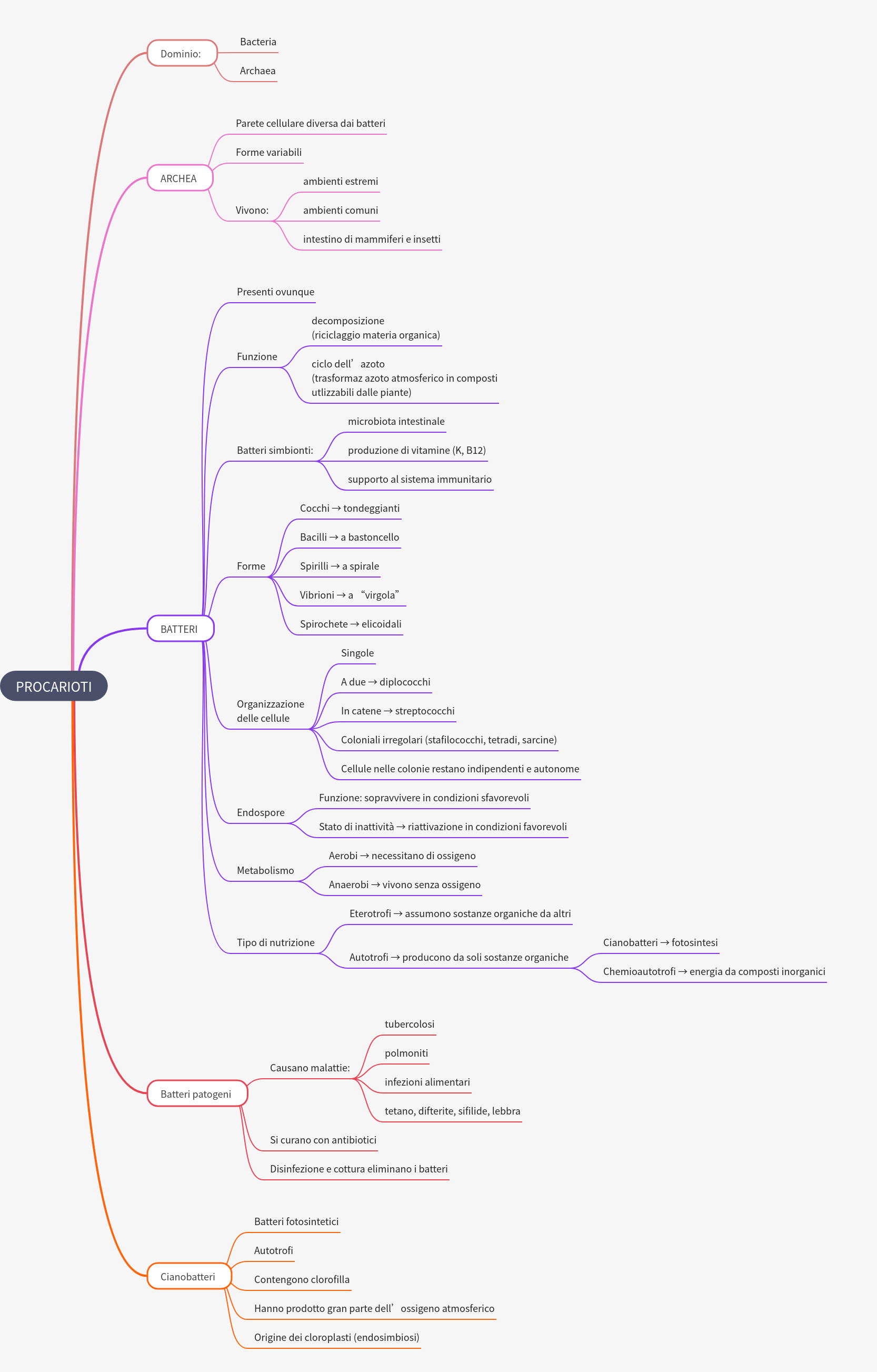 Prokaryotes: Domains, Characteristics, and Ecological Impact
