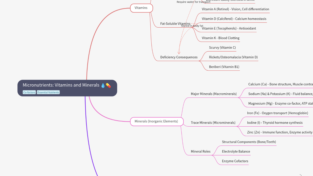 Mind Map:Micronutrients: Vitamins and Minerals ...