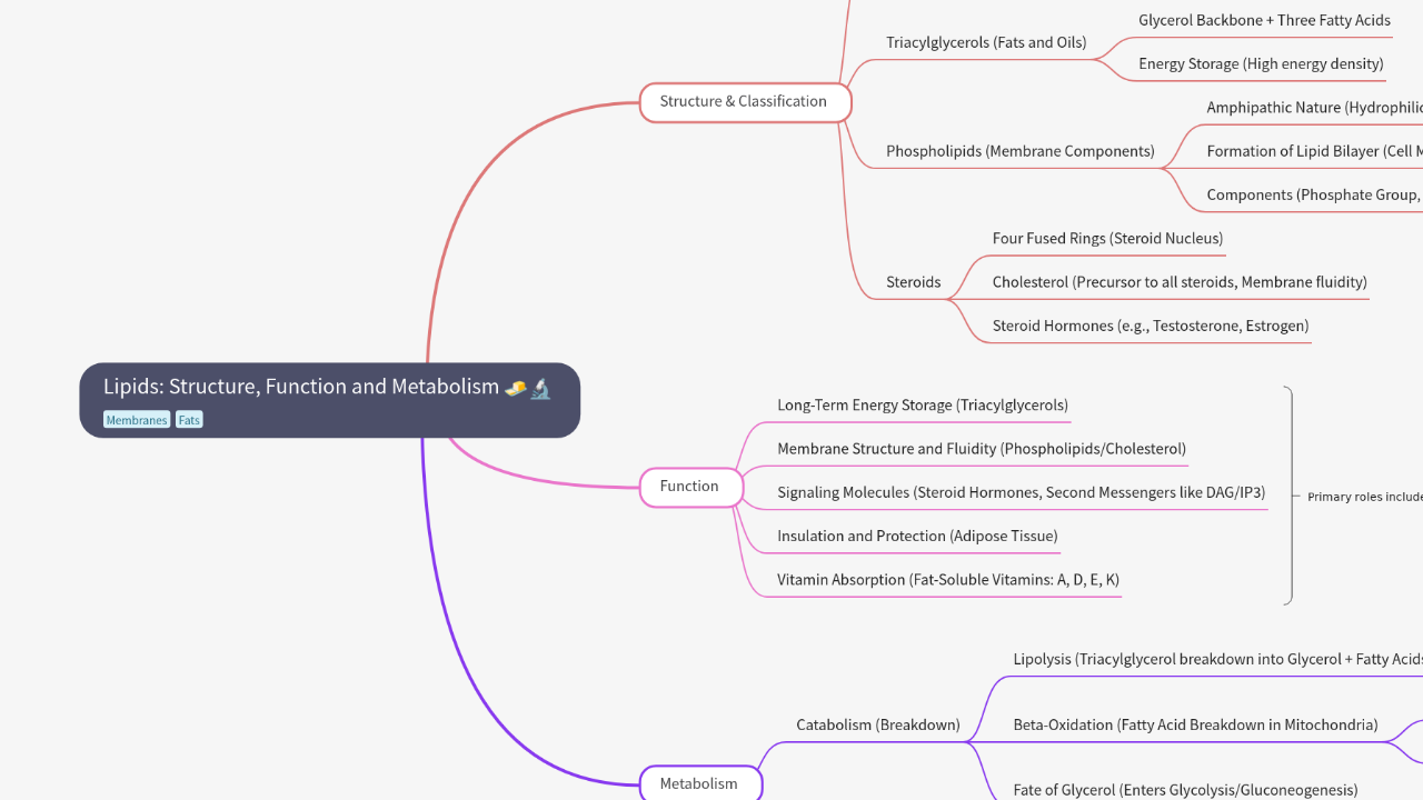 Mind Map:Lipids: Structure, Function and Metabolism ...