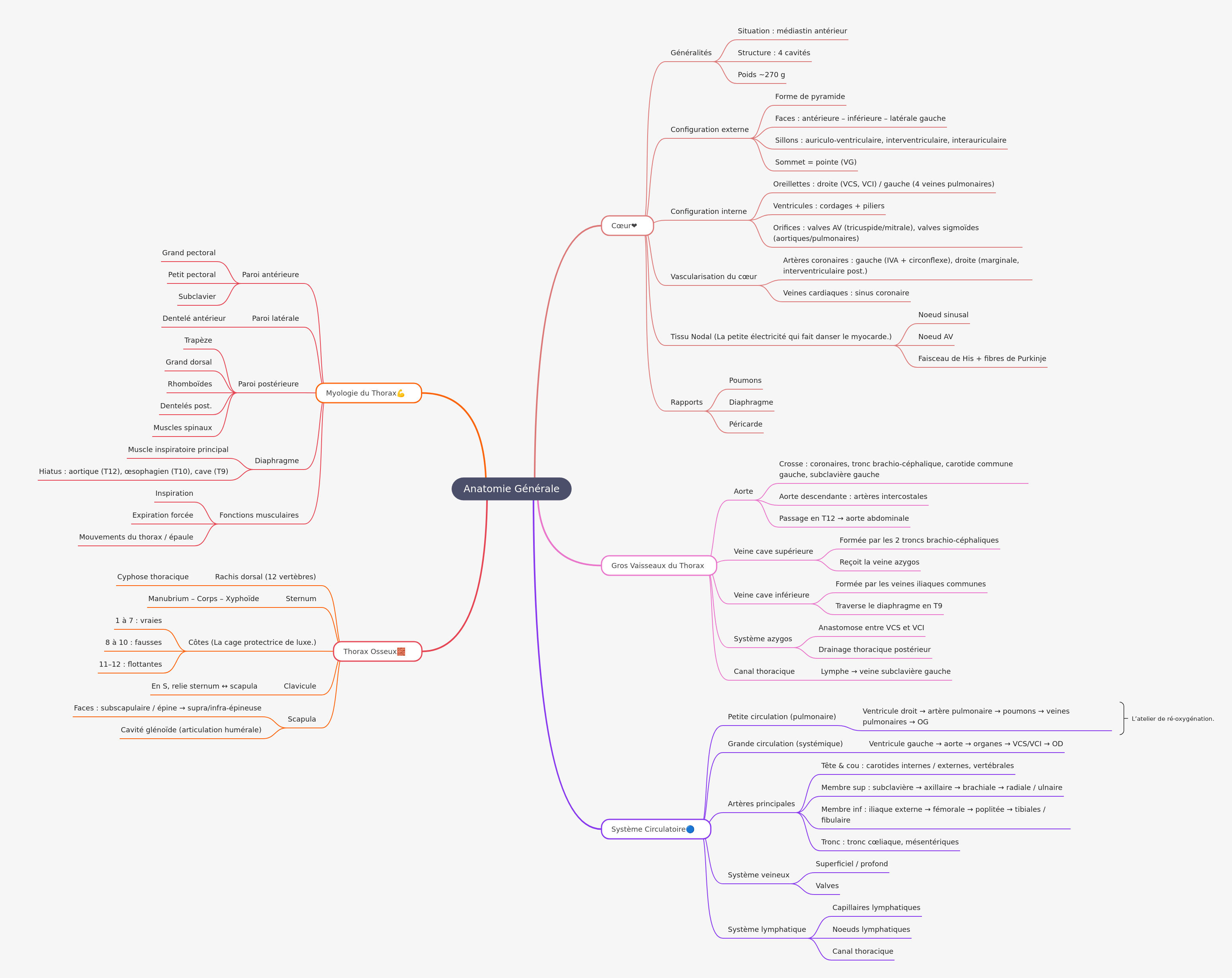 General Anatomy: Heart, Vessels, Thorax, and Muscles