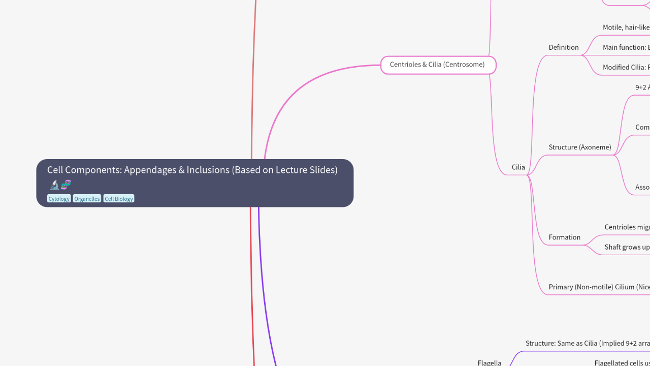 Mind Map:Cell Components: Appendages & Inclusions (Based on Lecture Slides) ...