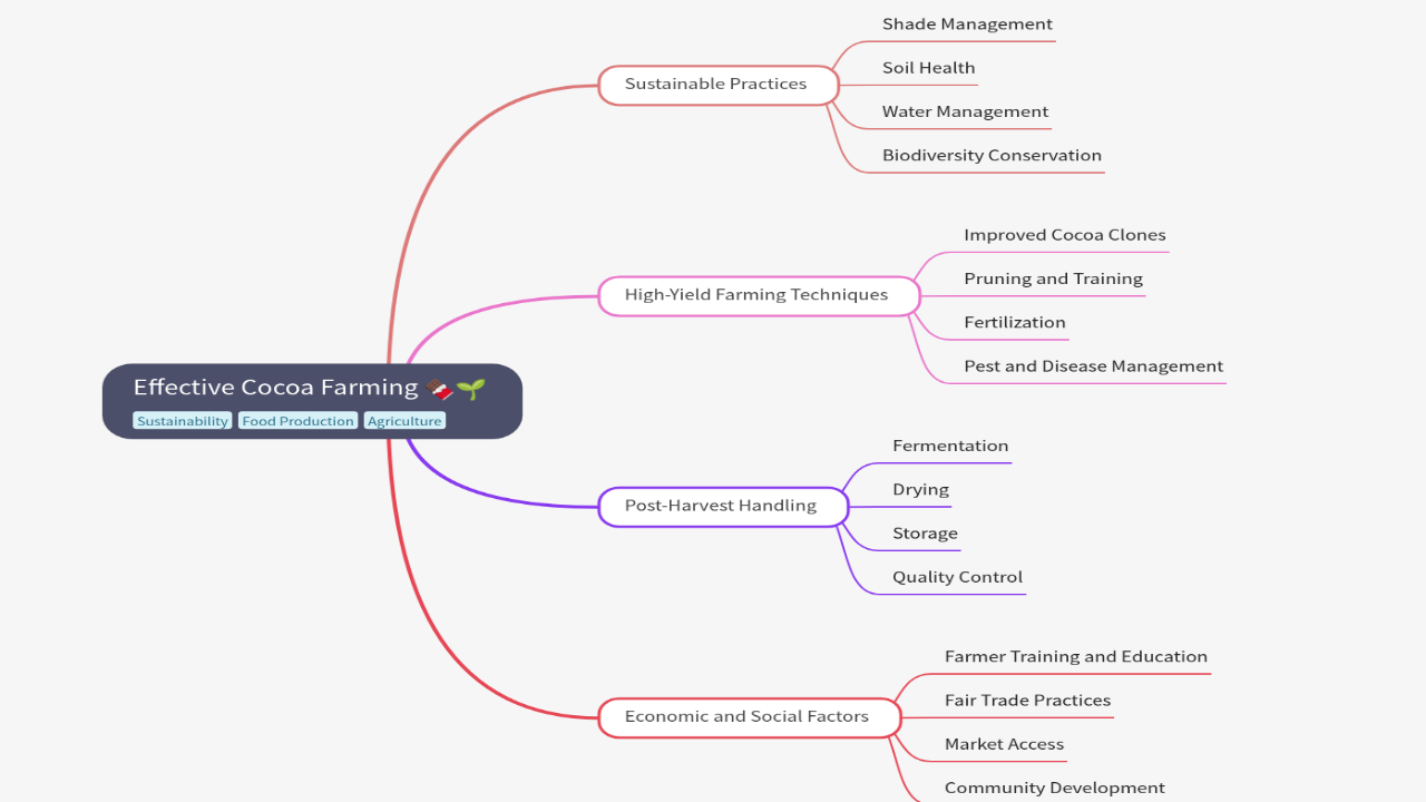 Effective Cocoa Farming