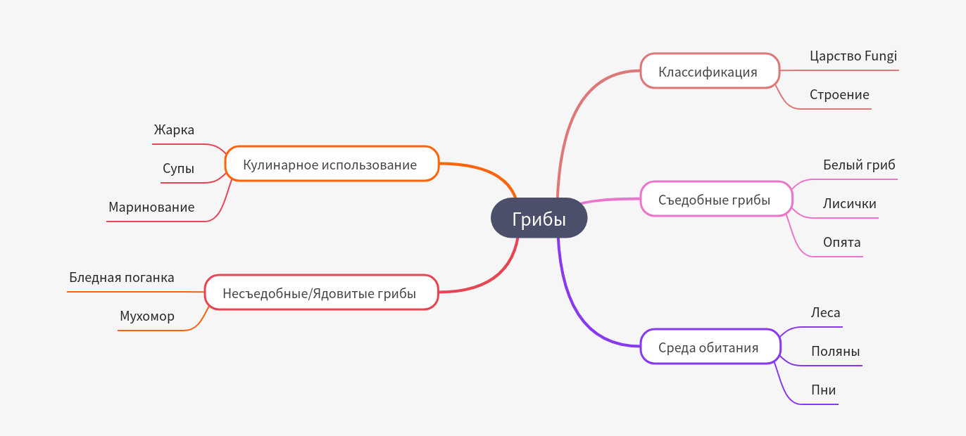 Comprehensive Guide to Mushrooms