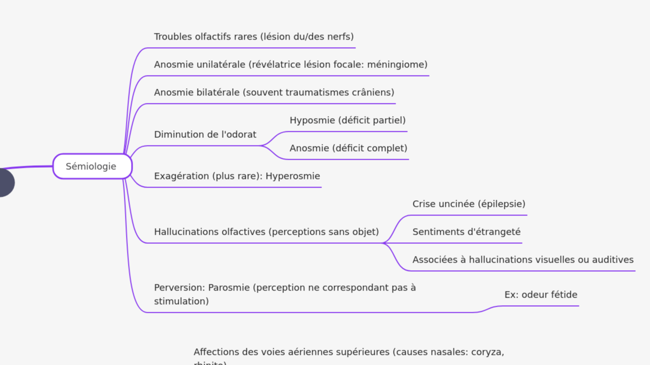 Mind Map:Le Nerf Olfactif (I) ...