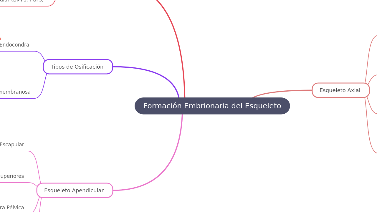 Mind Map:Formación Embrionaria del Esqueleto ...