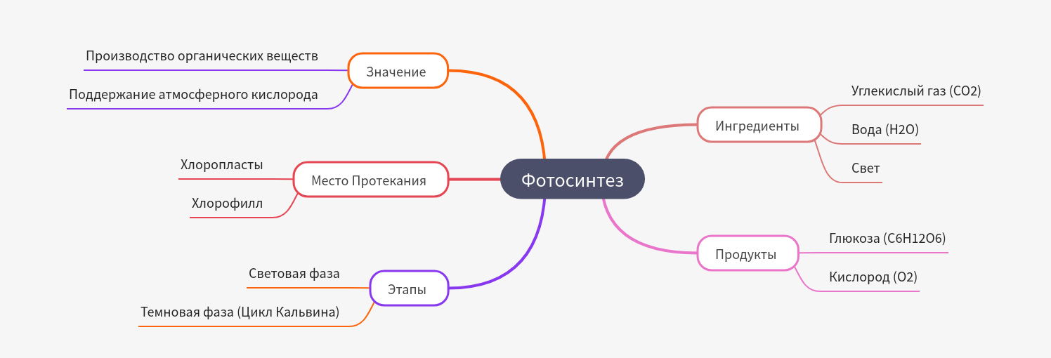 Photosynthesis: Process, Ingredients, Products, and Importance