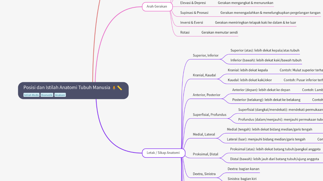 Mind Map:Posisi dan Istilah Anatomi Tubuh Manusia ...