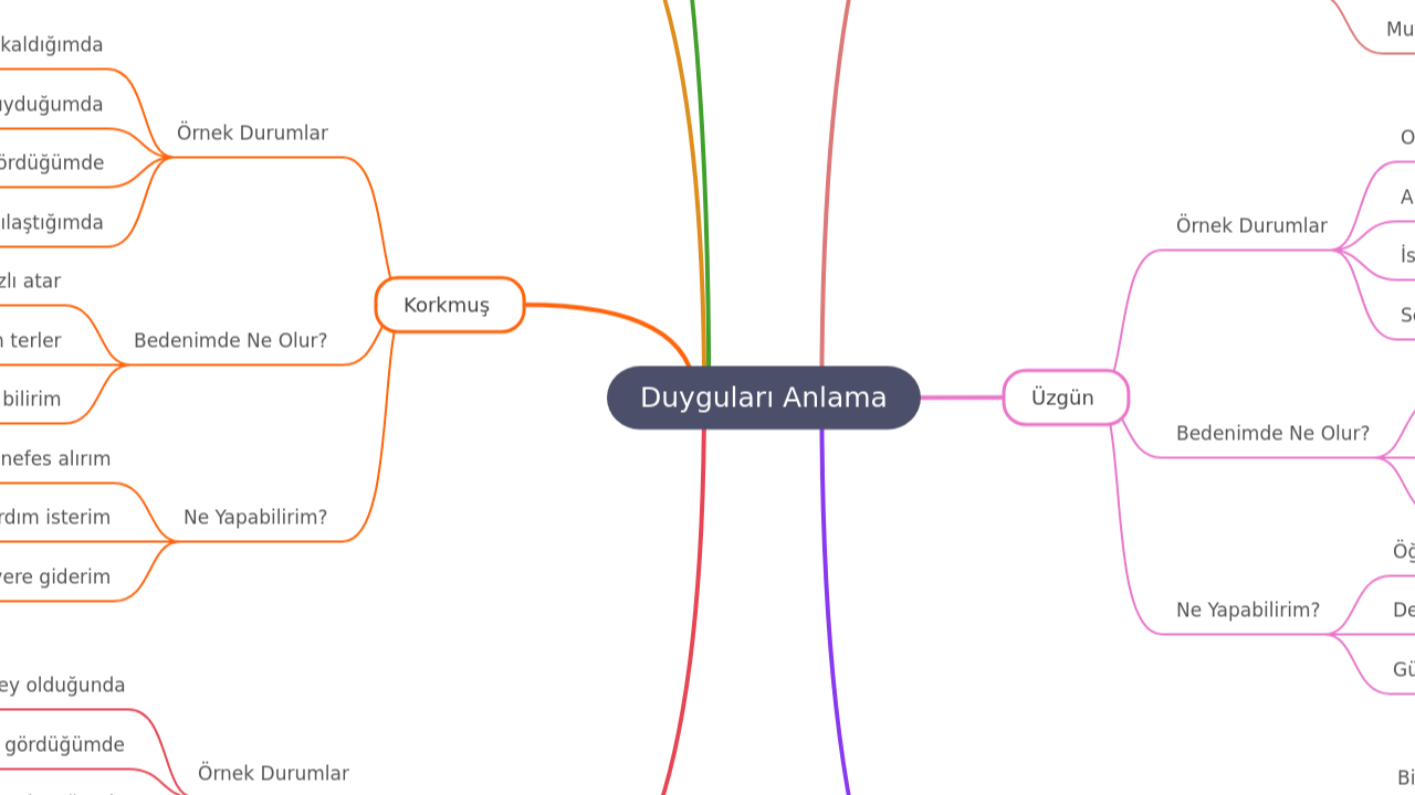 Duyguları Anlama