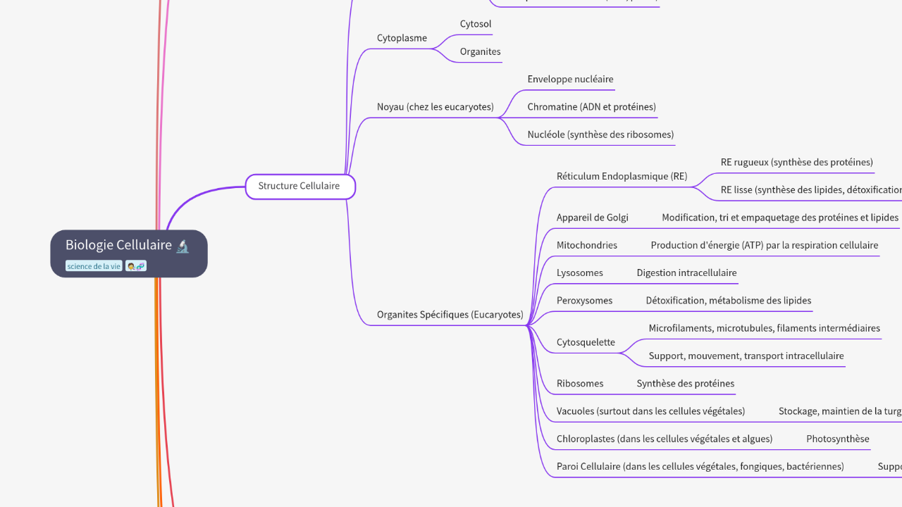 Mind Map:Biologie Cellulaire ...