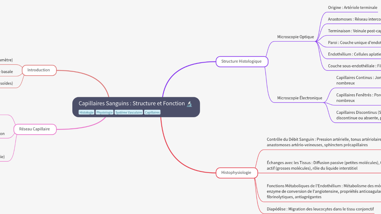 Mind Map:Capillaires Sanguins : Structure et Fonction ...