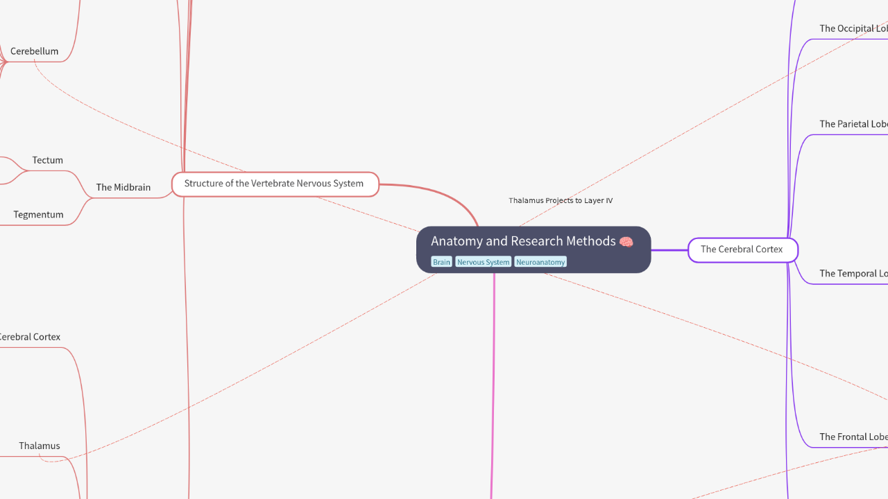 Mind Map:Anatomy and Research Methods ...