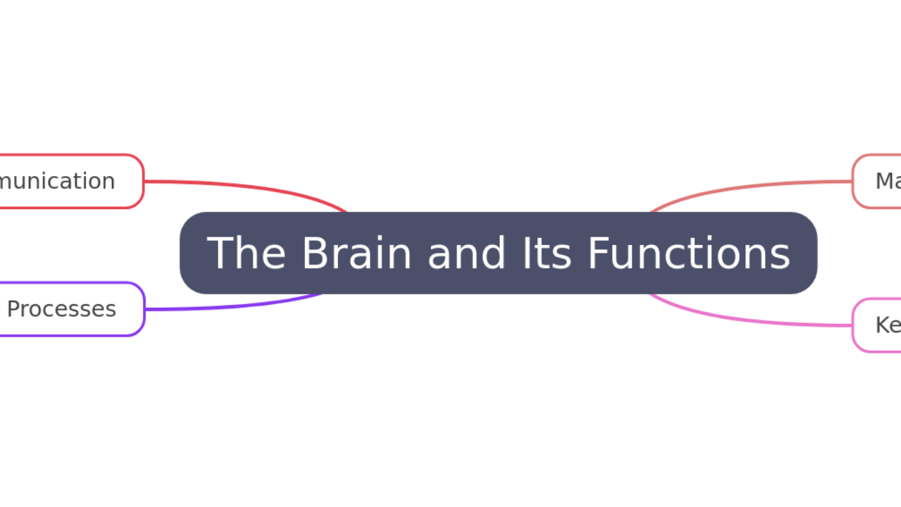 The Brain and Its Functions