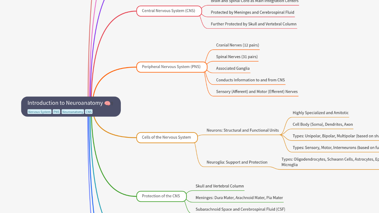 Mind Map:Introduction to Neuroanatomy ...