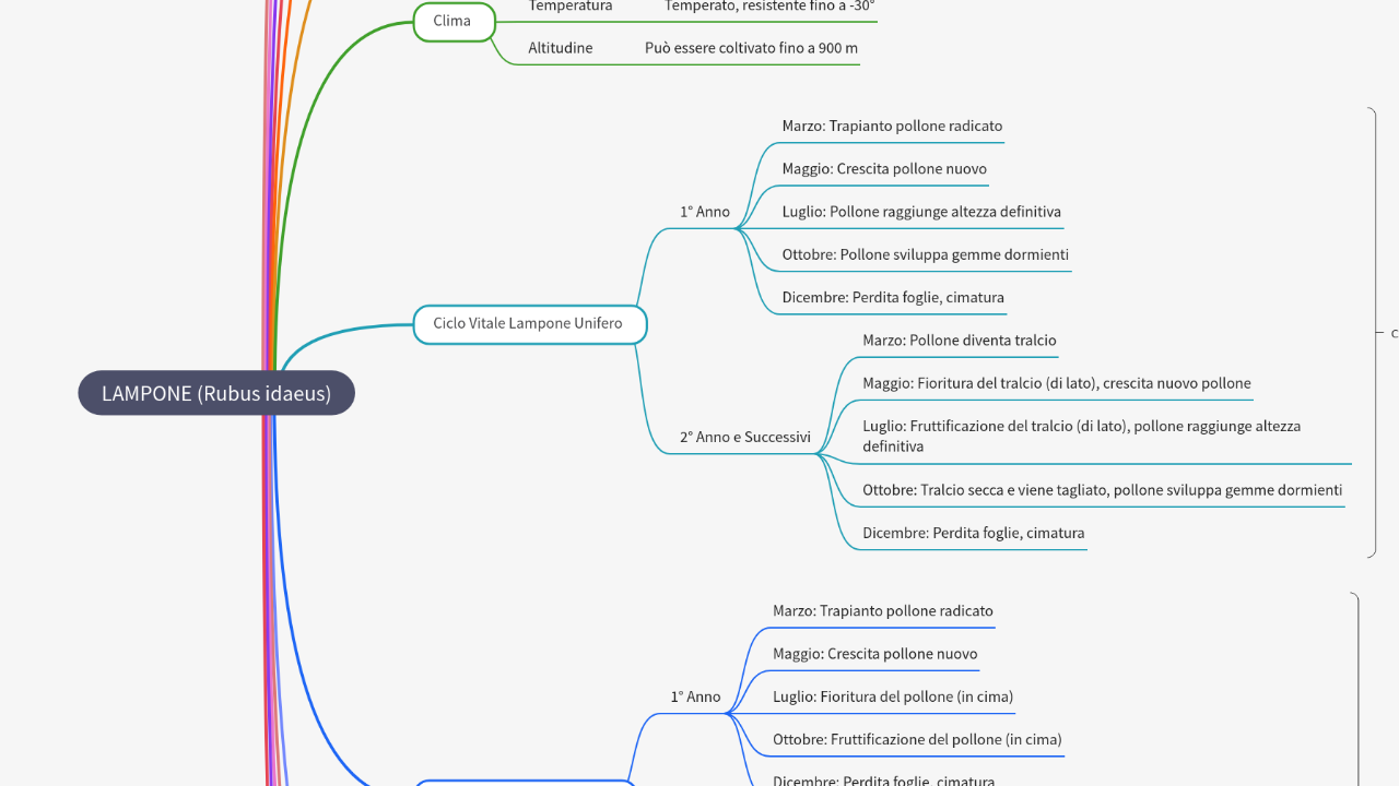 Mind Map:LAMPONE (Rubus idaeus) ...