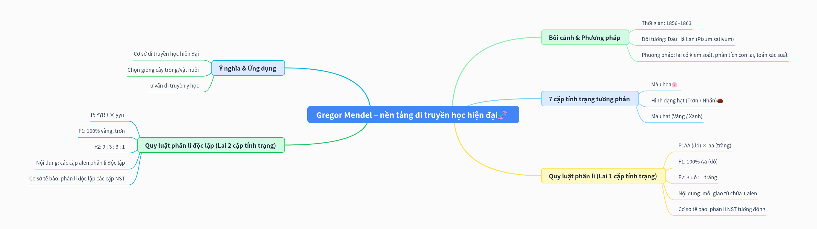 Gregor Mendel's Experiments & Laws of Inheritance