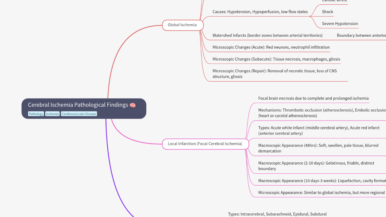 Mind Map:Cerebral Ischemia Pathological Findings ...