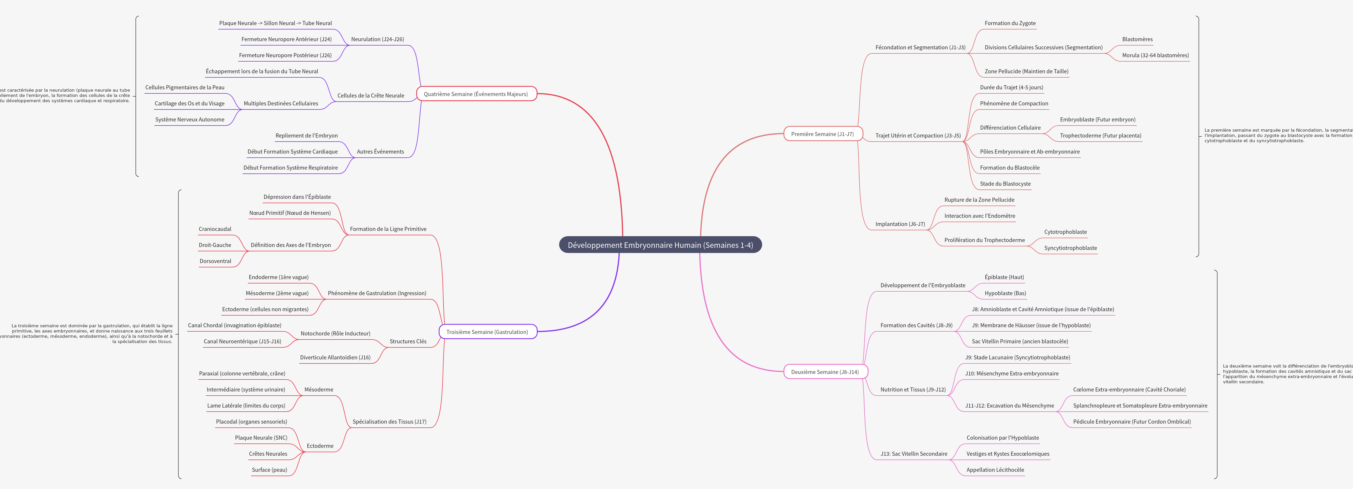 Human Embryonic Development (Weeks 1-4)