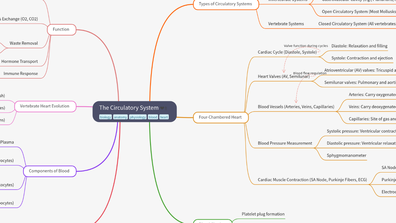 Mind Map:The Circulatory System ...