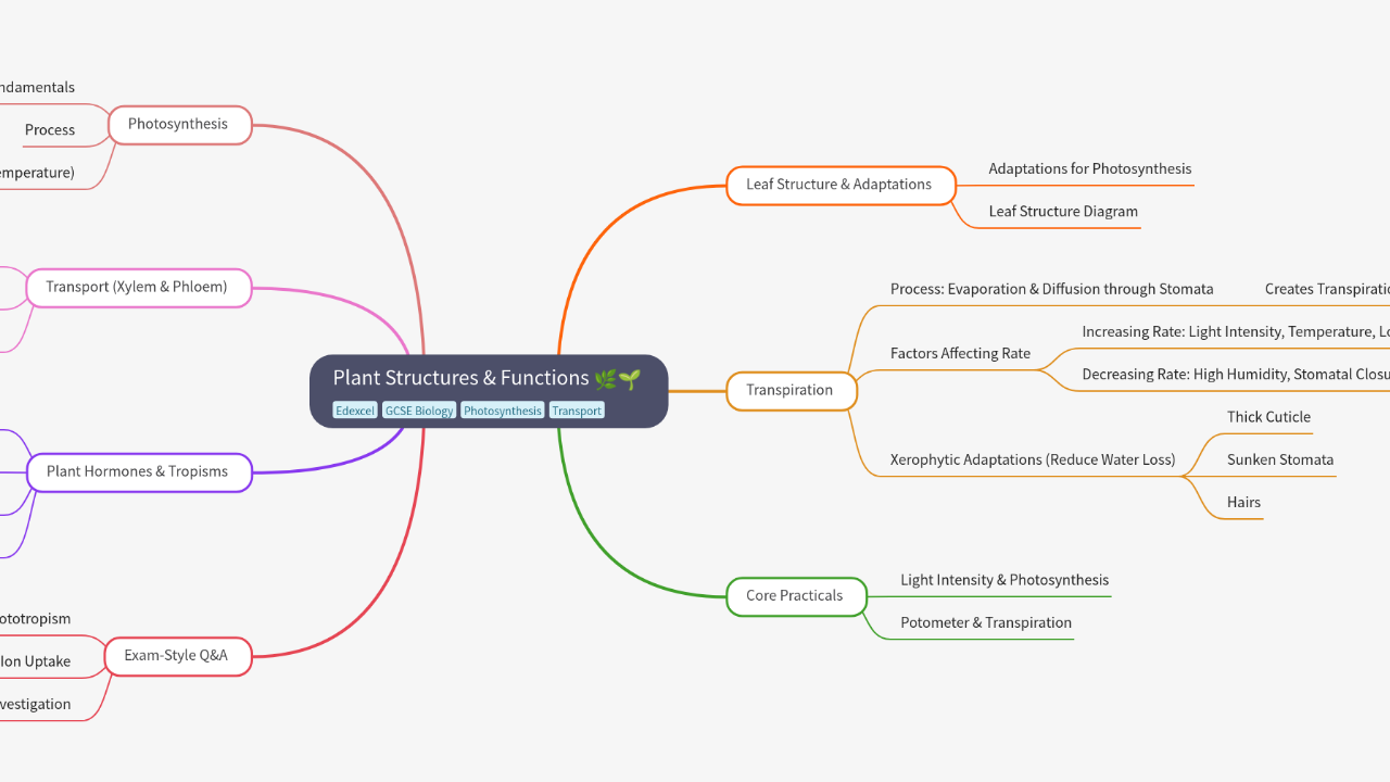 Mind Map:Plant Structures & Functions ...