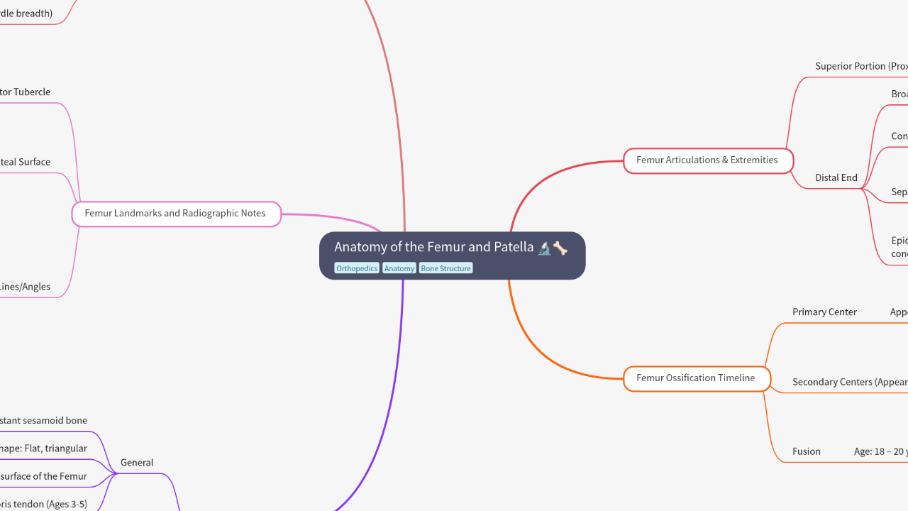 Anatomy of the Femur and Patella