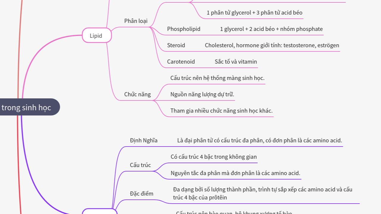 Mind Map:Bài 5: Các phân tử trong sinh học ...