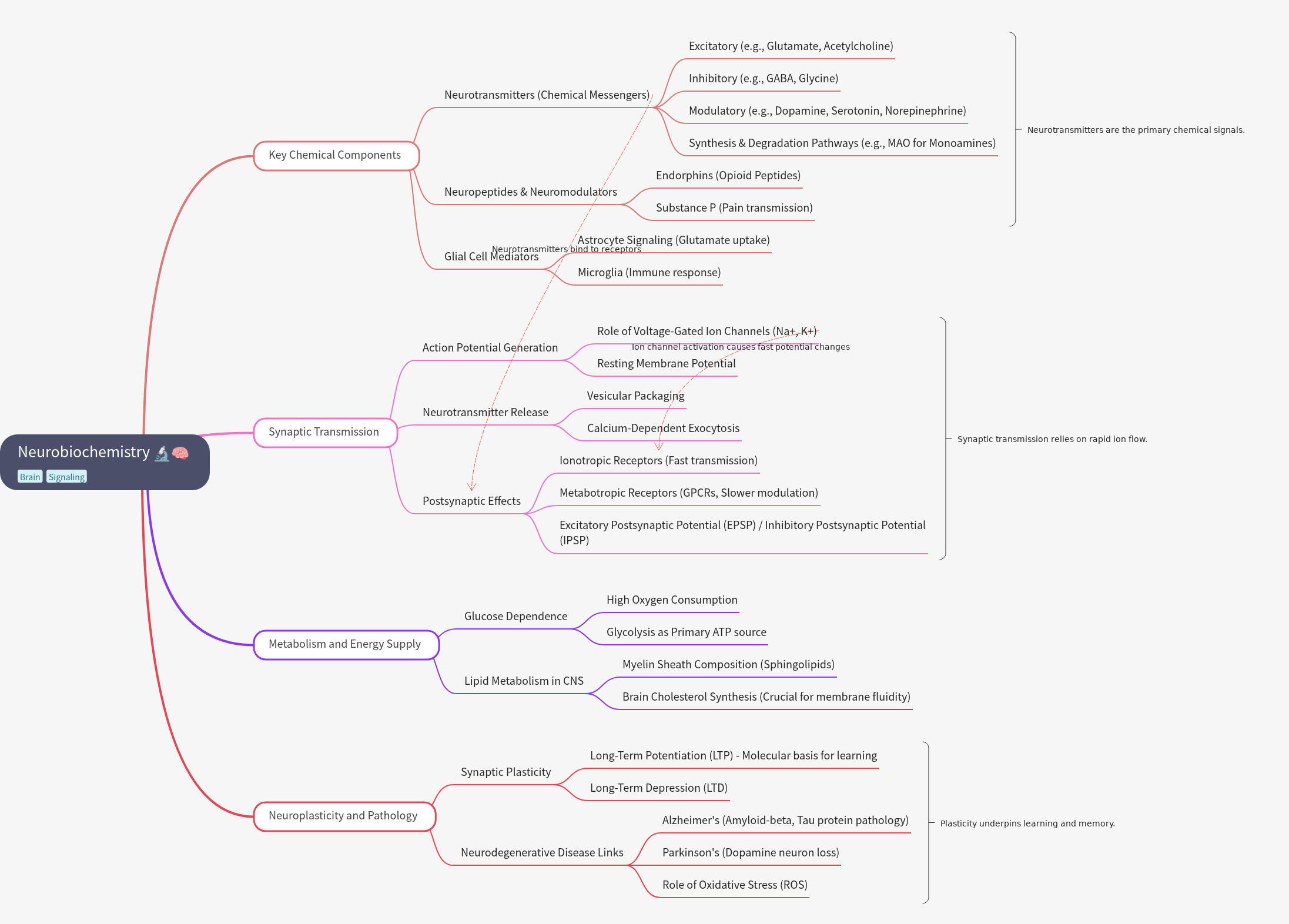 Neurobiochemistry: Chemical Basis of Brain Function