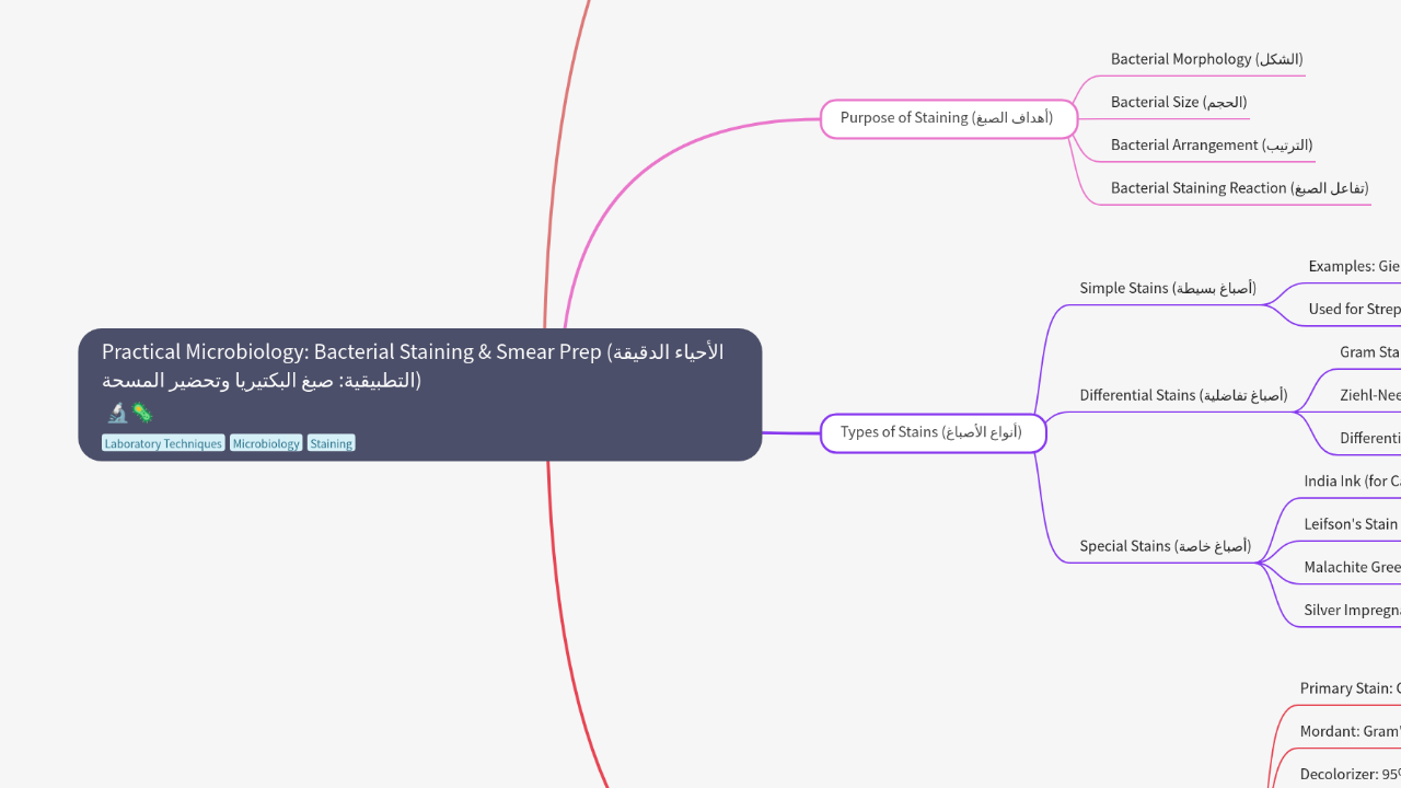 Practical Microbiology: Bacterial Staining & Smear Prep (الأحياء الدقيقة التطبيقية: صبغ البكتيريا وتحضير المسحة)