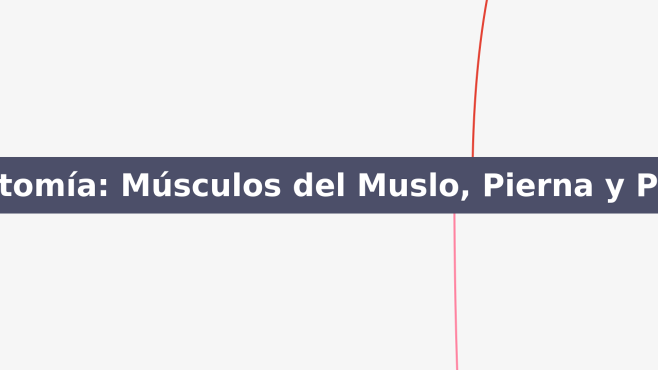 Mind Map:Anatomía: Músculos del Muslo, Pierna y Pie ...