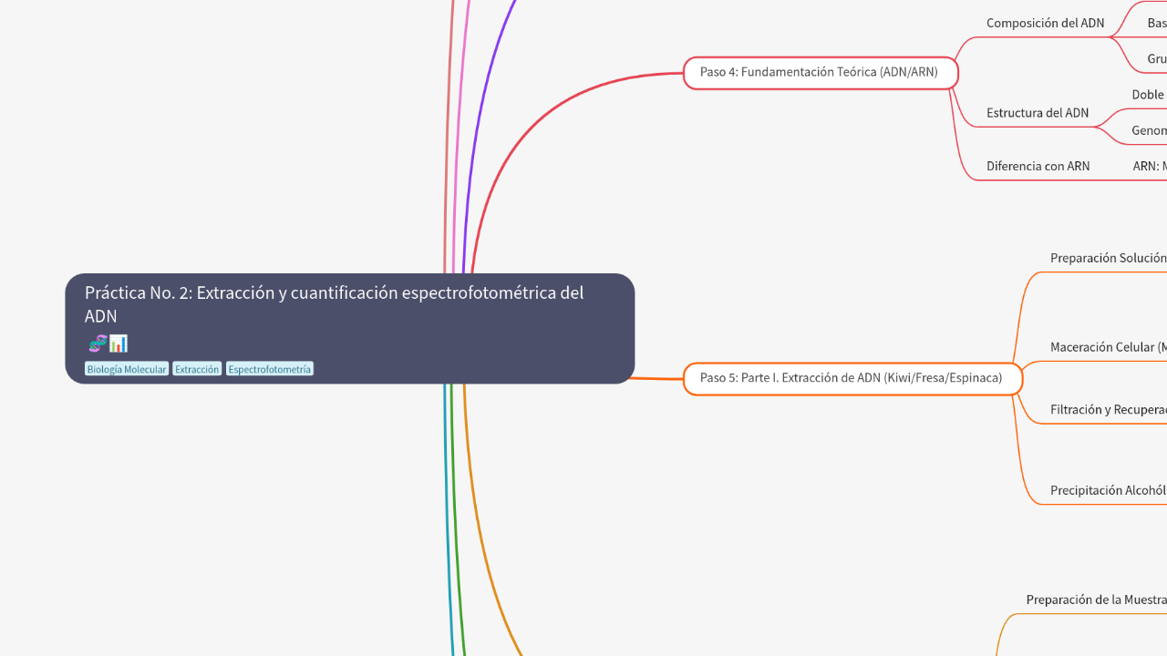 Mind Map:Práctica No. 2: Extracción y cuantificación espectrofotométrica del ADN ...