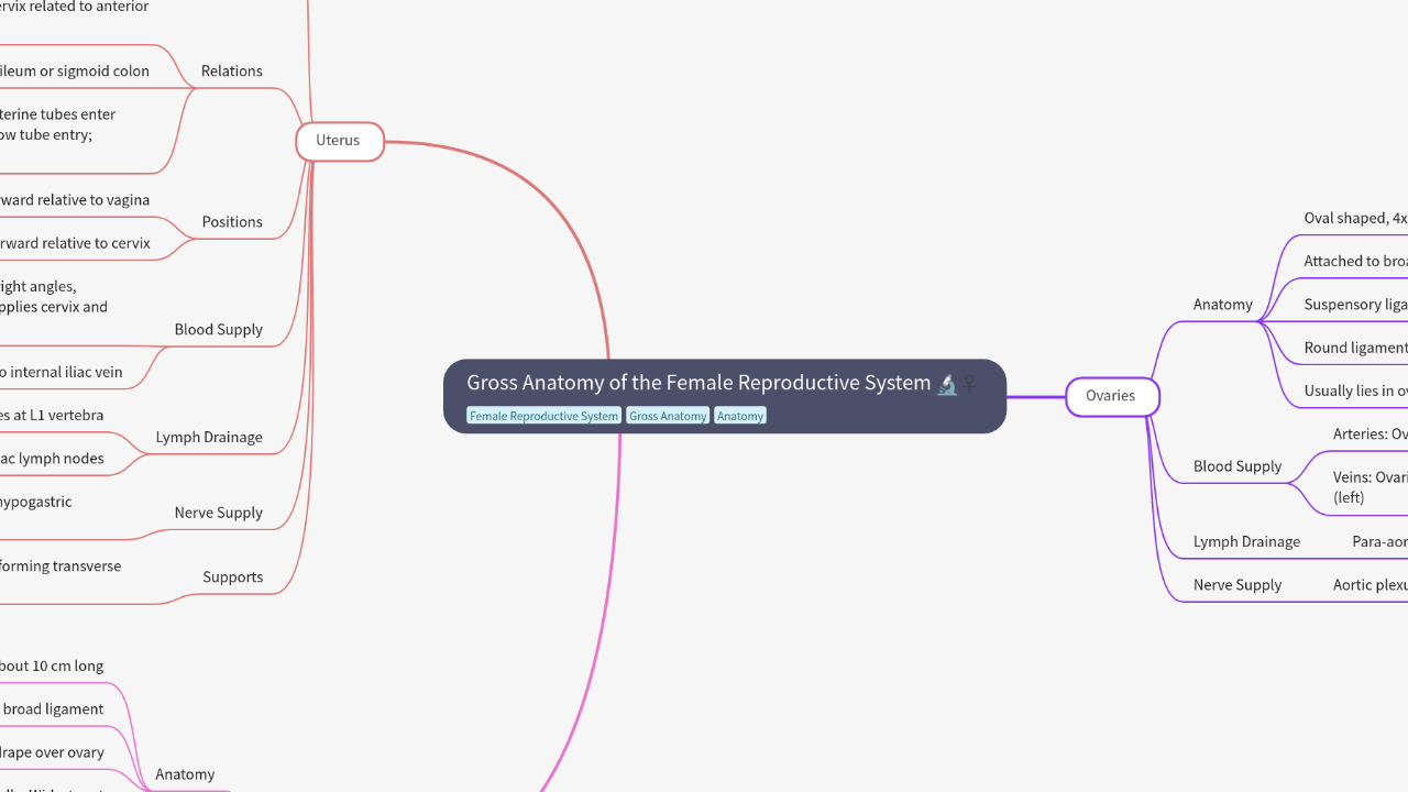 Mind Map:Gross Anatomy of the Female Reproductive System ...