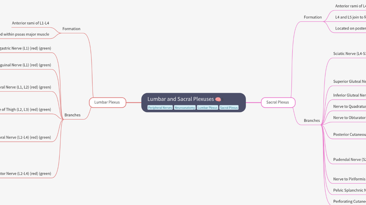Mind Map:Lumbar and Sacral Plexuses ...
