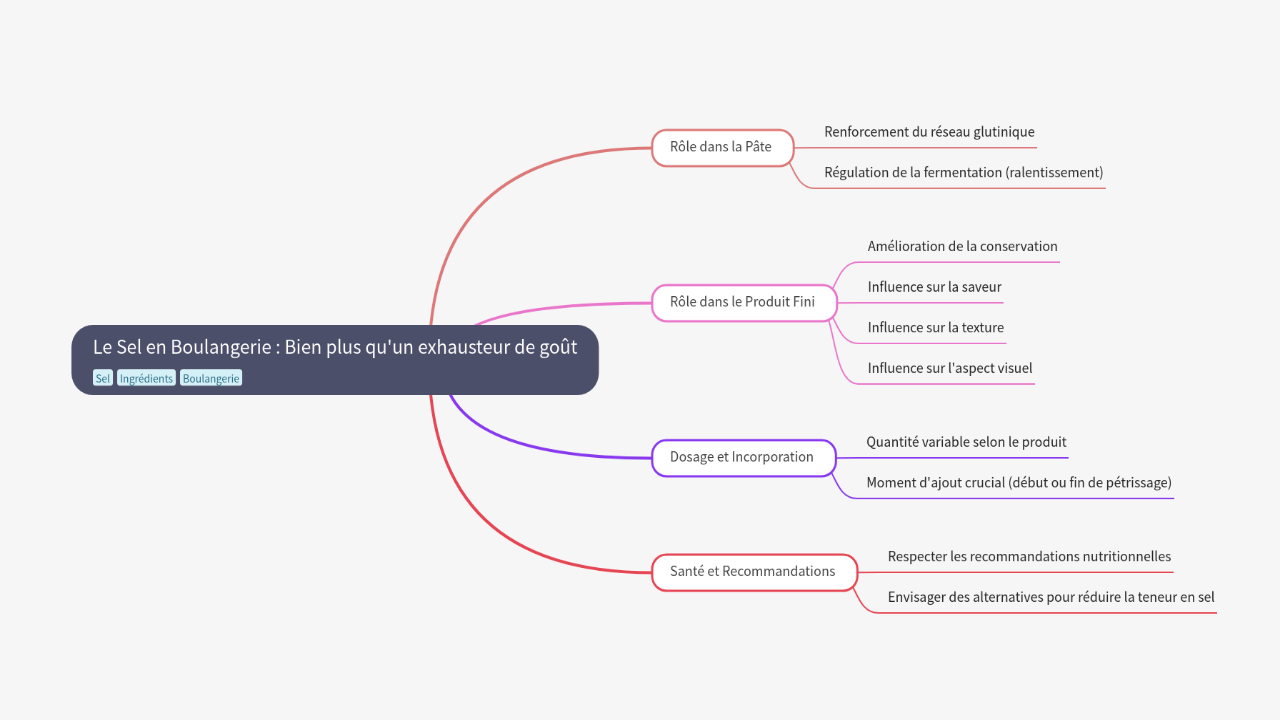 Mind Map:Le Sel en Boulangerie : Bien plus qu'un exhausteur de goût ...