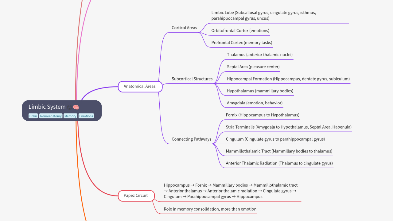 Mind Map:Limbic System ...