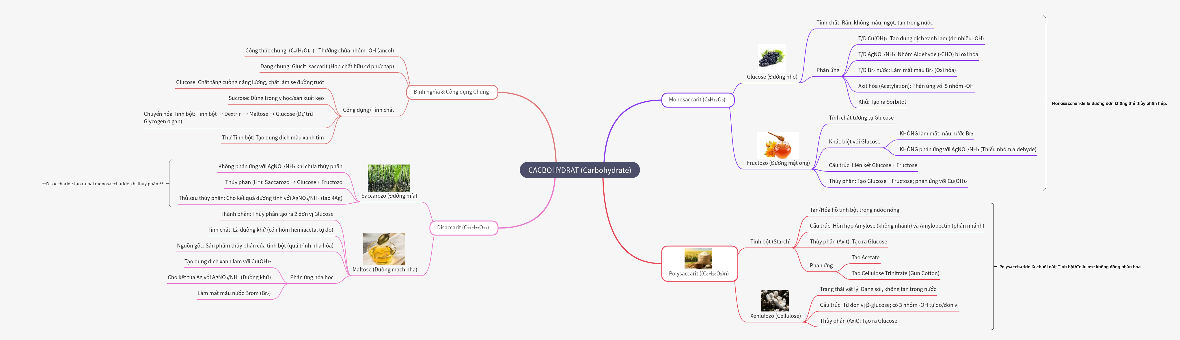 Carbohydrates: Definition, Types, and Chemical Properties