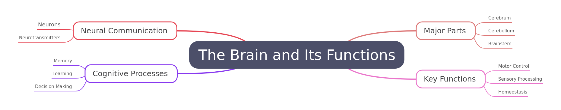 Understanding The Brain and Its Functions