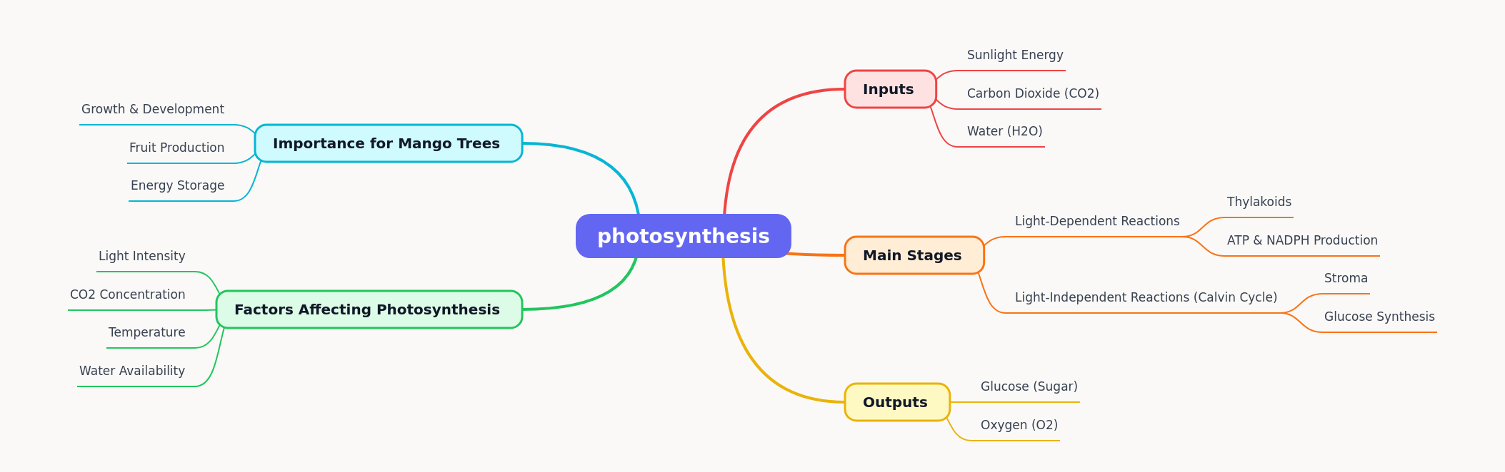 Photosynthesis in Mango Trees: Process, Factors, and Importance