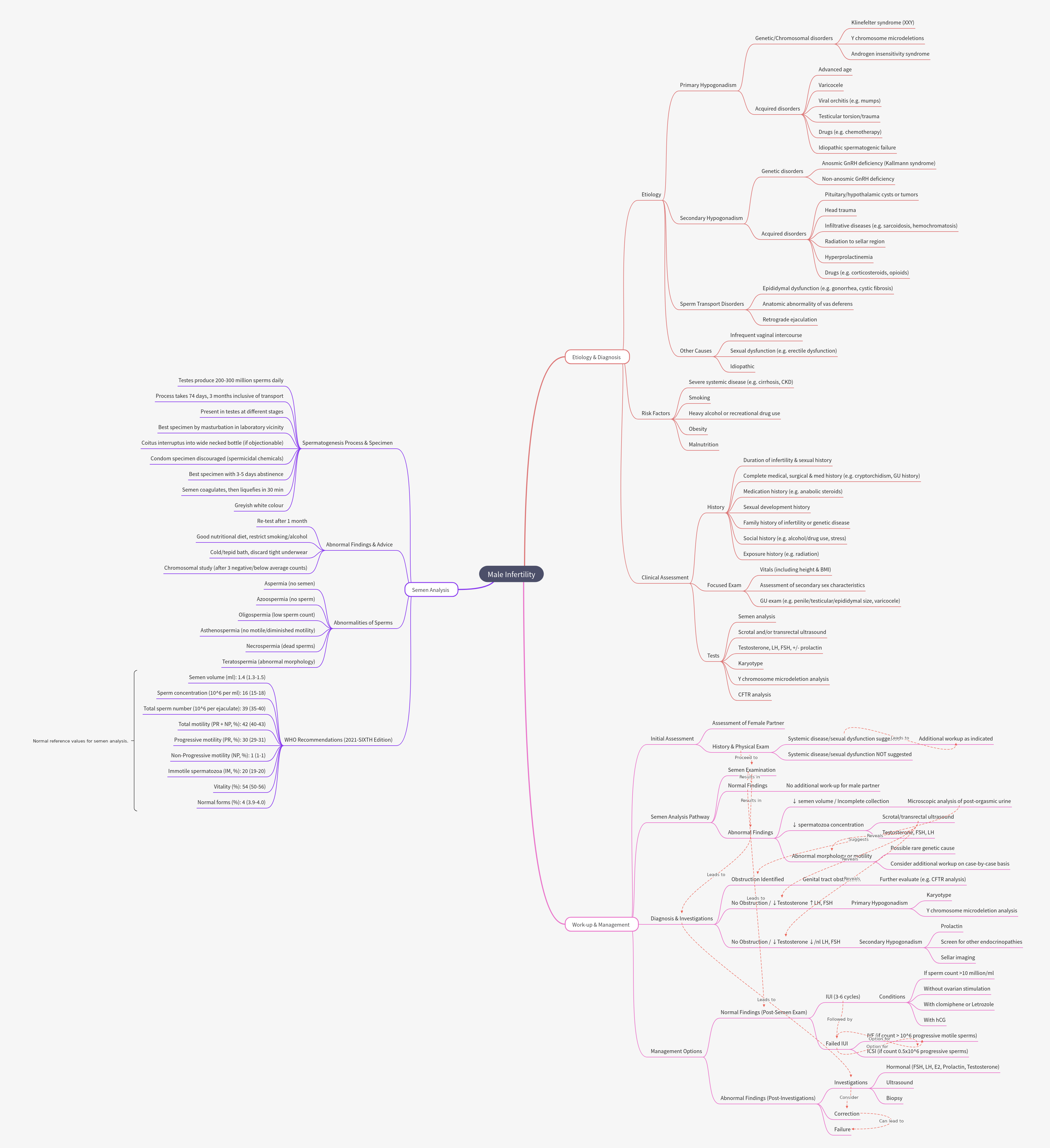 Male Infertility: Etiology, Diagnosis, and Management