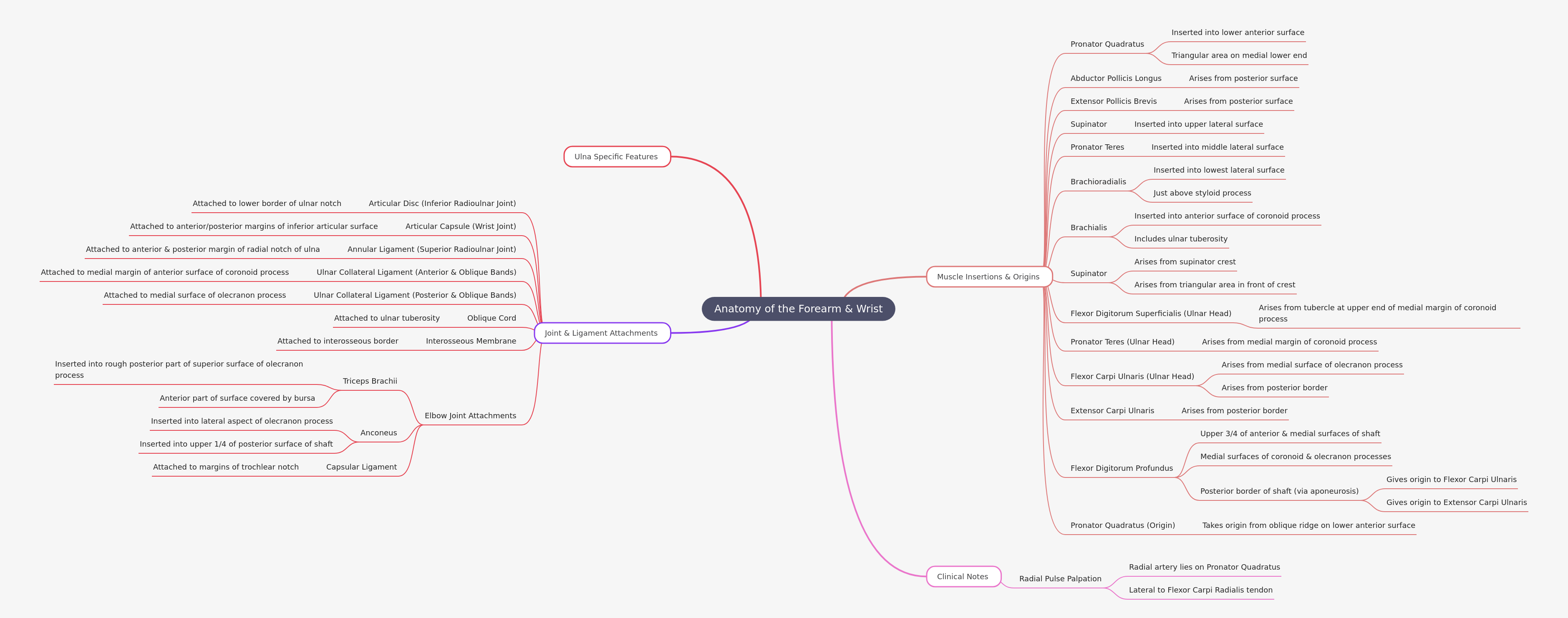 Anatomy of the Forearm & Wrist: Muscles, Joints, & Bones