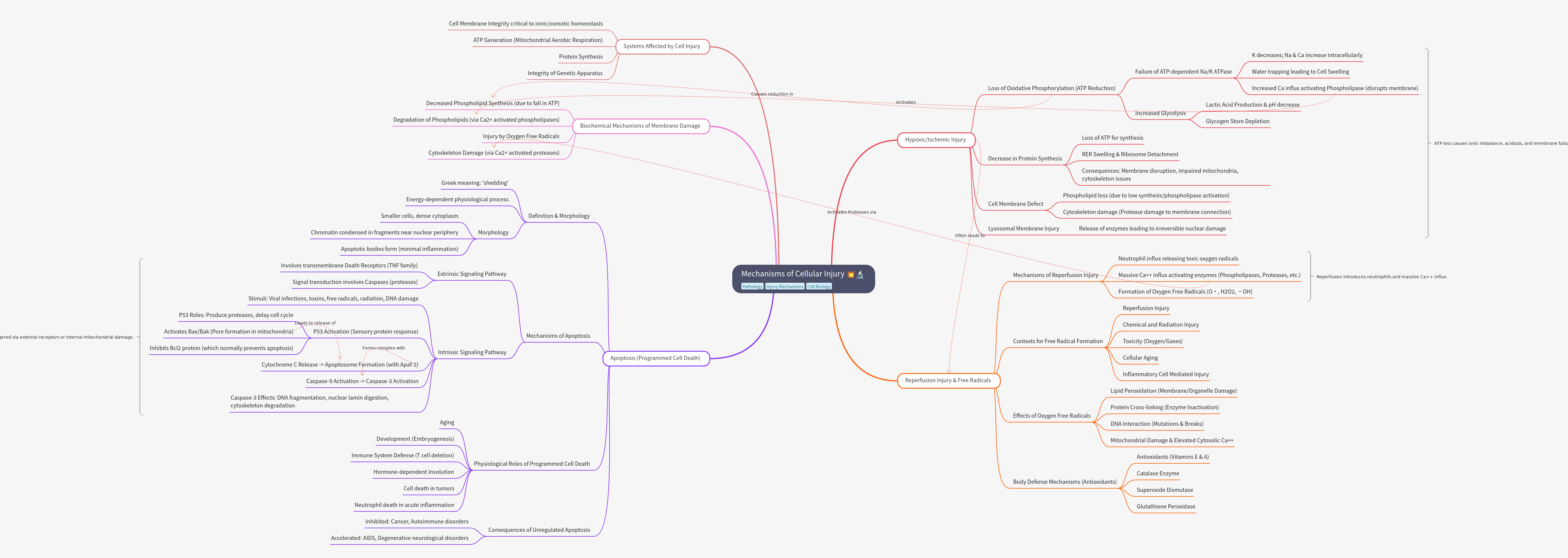 Mechanisms of Cellular Injury and Cell Death Pathways