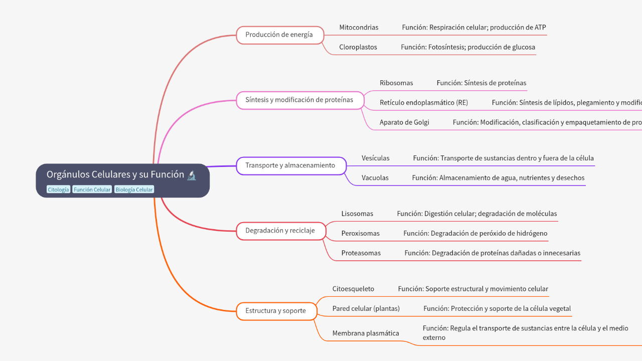 Mind Map:Orgánulos Celulares y su Función ...